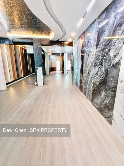 Balestier road (D12), Shop House #537206631